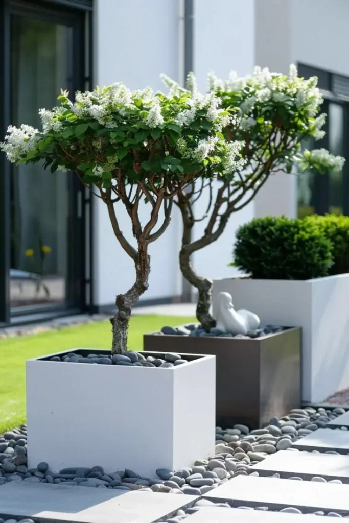 pin by ninen león on macetas herb garden planter, plant decor, small front yard landscaping