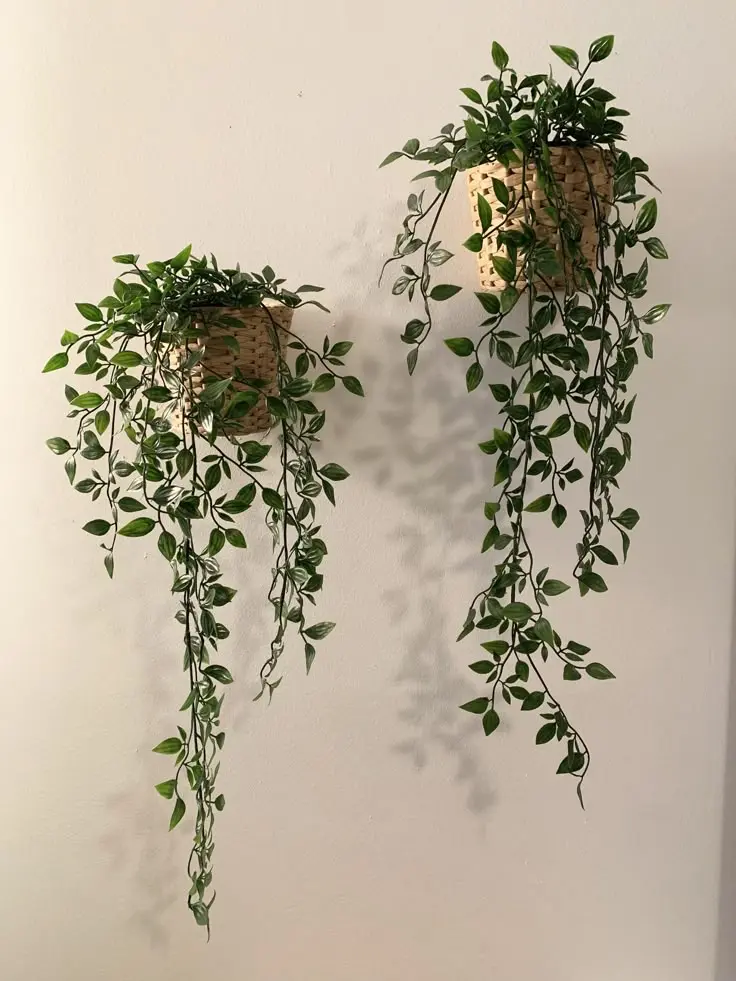 best indoor hanging plants