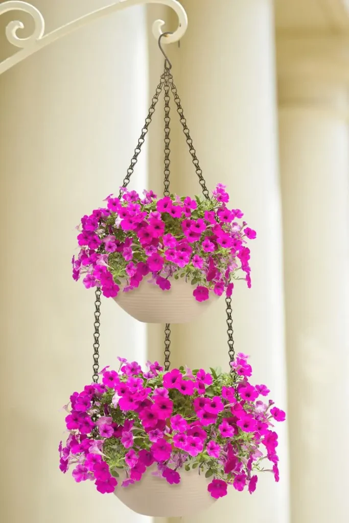 best outdoor plants