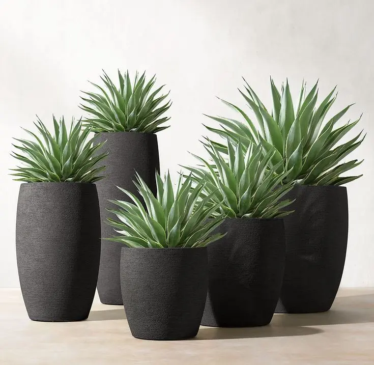 best outdoorplants