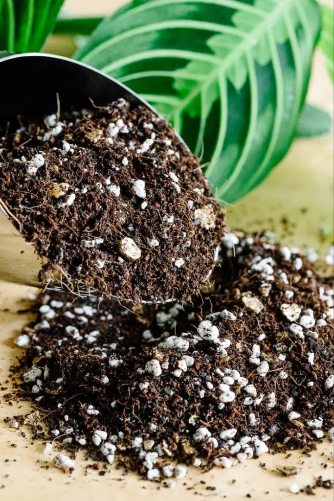 cocopeat and poting soil