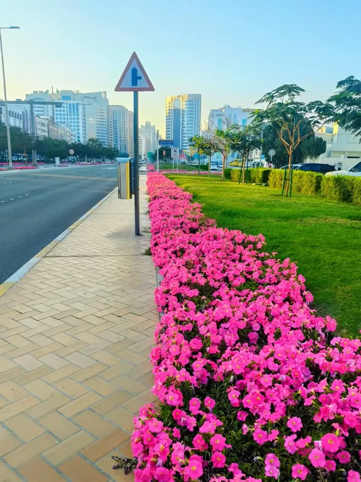 seasonal flowers